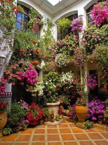 En güzel balkon ve bahçe çiçekleri