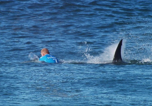 Ünlü sörfçüye köpekbalığı saldırısı! İşte o anlar...
