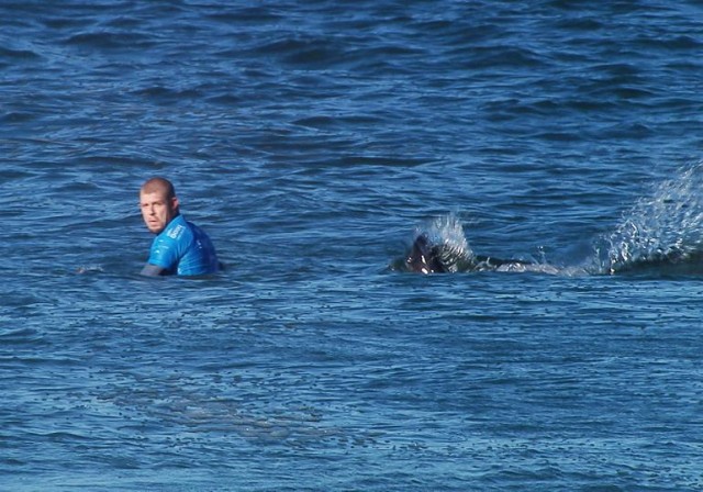 Ünlü sörfçüye köpekbalığı saldırısı! İşte o anlar...