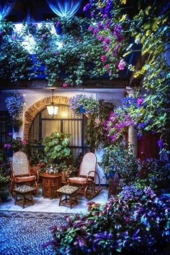 En güzel balkon ve bahçe çiçekleri