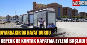 Diyarbakır'da kepenk ve kontak kapatma eylemi