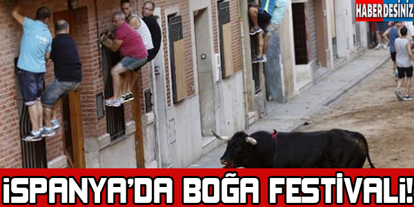 İspanyada boğa festivali