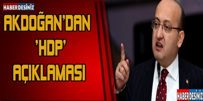 Akdoğan'dan 'HDP' açıklaması