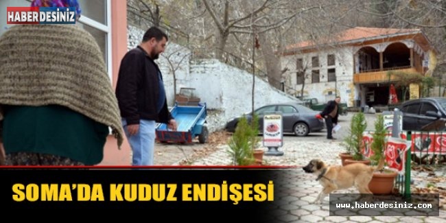 Soma’da kuduz endişesi