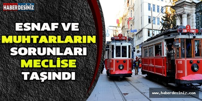 Esnaf ve muhtarların sorunları meclise taşındı