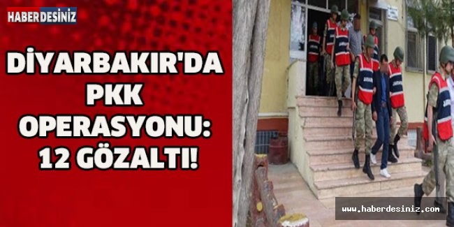 DİYARBAKIR'DA PKK OPERASYONU: 12 GÖZALTI!
