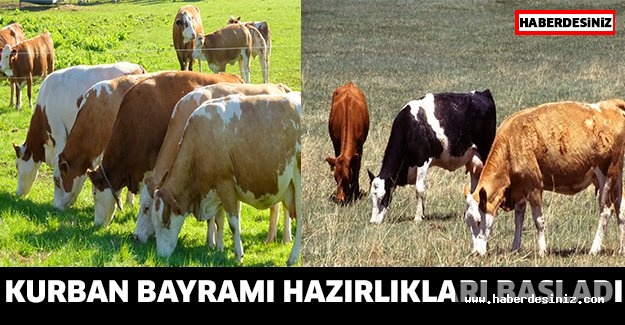 KURBAN BAYRAMI HAZIRLIKLARI BAŞLADI