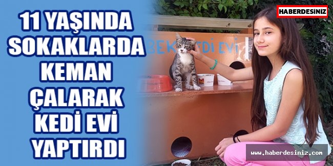 11 Yaşında Sokaklarda Keman Çalarak Kedi Evi Yaptırdı