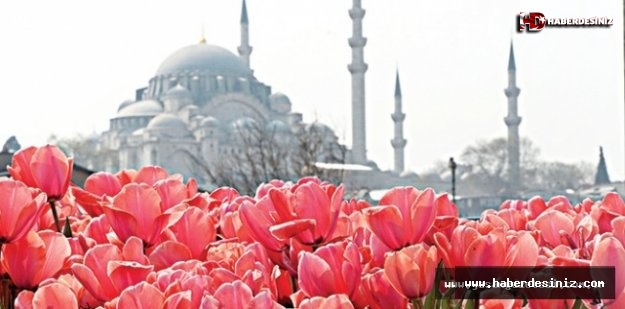 Laleler İstanbul'la Buluşuyor