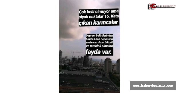 İstanbul depremine ilişkin ilginç iddia! ‘Yüksek kata çıkan karıncalar’ depremin habercisiydi.