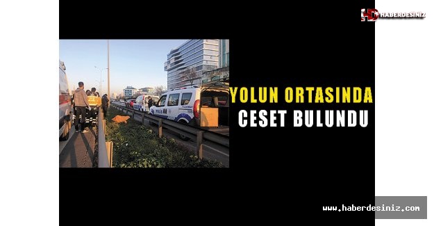 Yolun Ortasında Ceset Bulundu