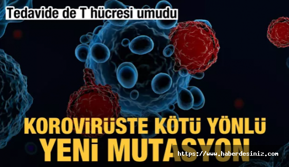 Koronavirüste kötü yönlü yeni mutasyon! Tedavide de 'T hücresi' umudu