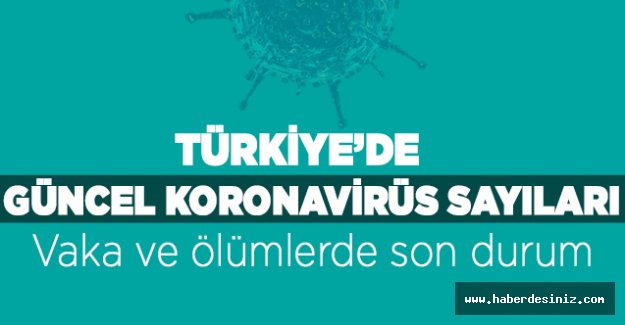 Türkiye'nin 11 Ağustos Salı Koronavirüs verileri açıklandı: 15 ölü