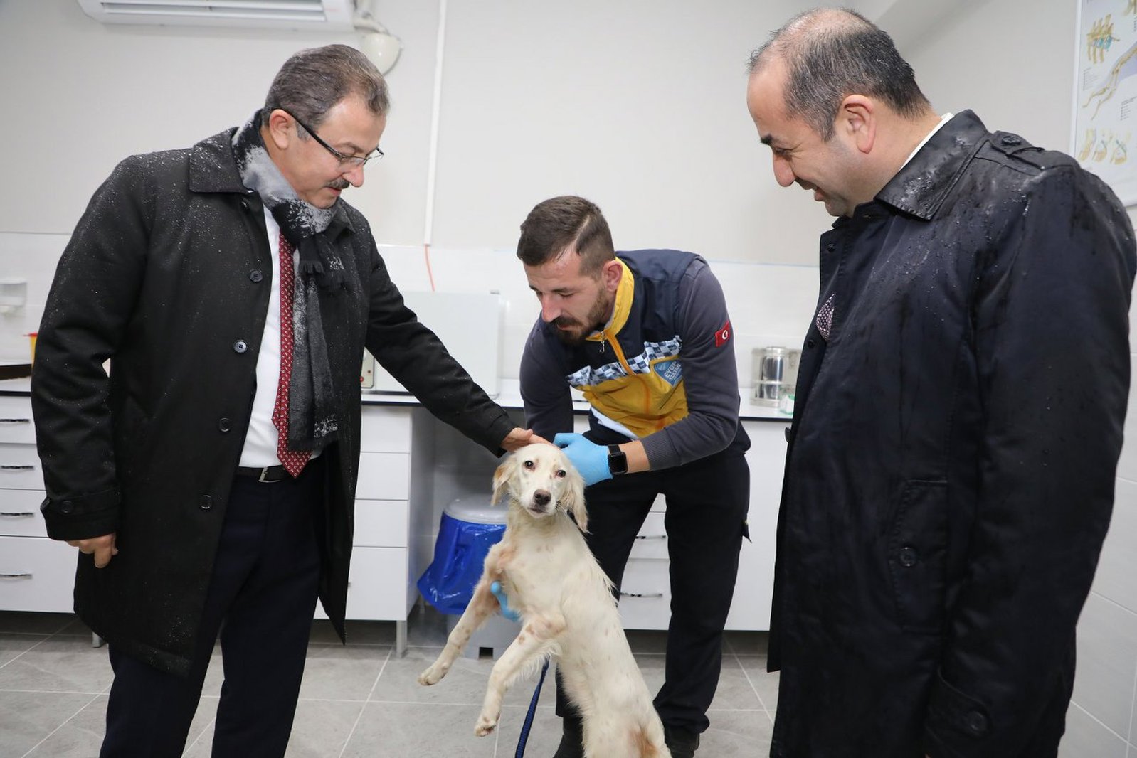 Eyüp’de sokak hayvanları mutlu