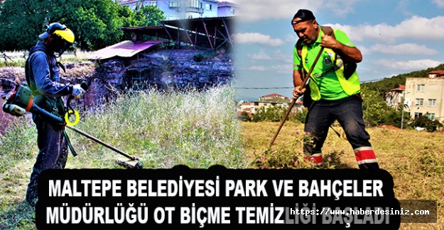 Maltepe Belediyesi Park ve bahçeler Müdürlüğü Ot biçme temizliği başladı