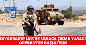 Diyarbakır Lice’de sokağa çıkma yasağı: Operasyon başlatıldı