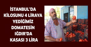 İstanbul’da kilosunu 4 liraya yediğimiz domatesin  Iğdır’da Kasası 3 lira