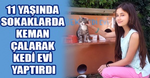 11 Yaşında Sokaklarda Keman Çalarak Kedi Evi Yaptırdı