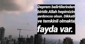 İstanbul depremine ilişkin ilginç iddia! ‘Yüksek kata çıkan karıncalar’ depremin habercisiydi.