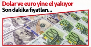 13 Ağustos Perşembe döviz fiyatları | Dolar kaç lira? Euro kaç lira?
