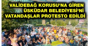 CHP’den Validebağ Korusu'na giren Üsküdar Belediyesi'ne protesto: Siyasi tezgahı görmüyor değiliz