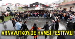 Arnavutköy'de hamsi festivali